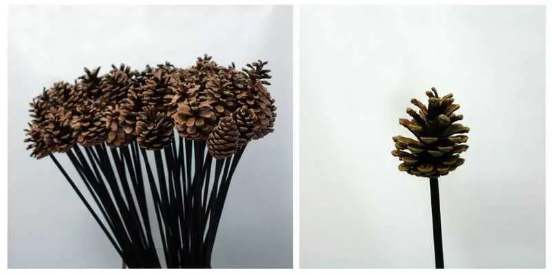 Шишки Декоративные